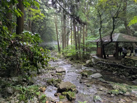 木漏れ日とせせらぎの渓谷