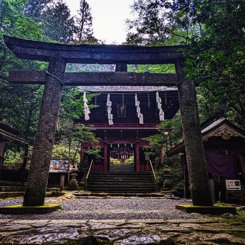 緑深き森の神域、鳥居と古社