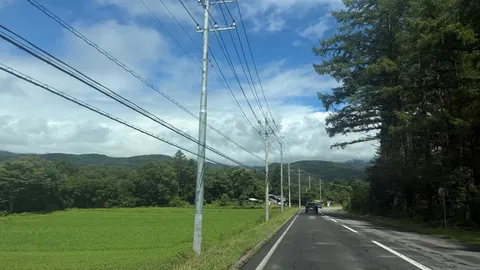 夏空と田園風景、電線の織りなす道
