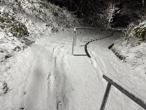 雪道の静かな回廊