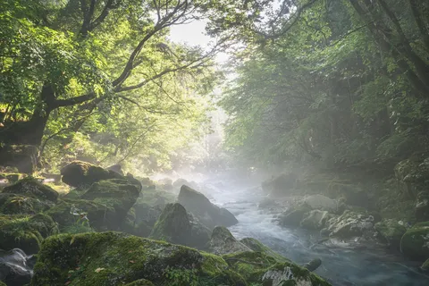 光と霧が織りなす渓流