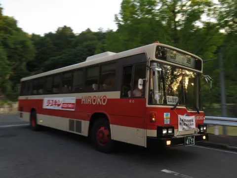 緑を抜ける　HIROKOの旅路