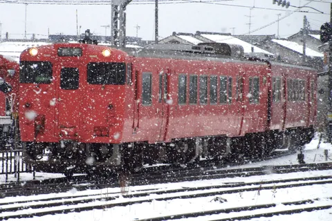 吹雪の中を力強く