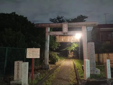 夜の鳥居が導く静かな路