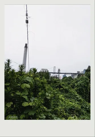 草木に埋もれる産業遺産