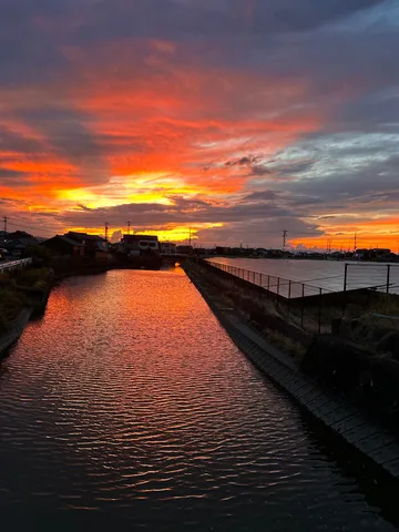 水面に広がる夕焼けの絨毯