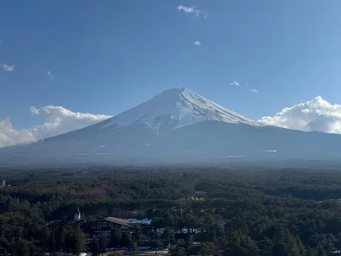 森の向こうに、ひょっこり富士