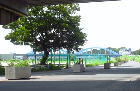 夏の河川敷