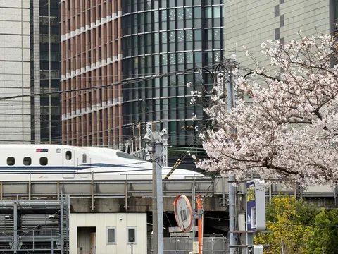 新幹線と桜の交差点