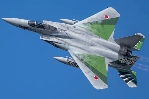青空を駆ける緑の翼