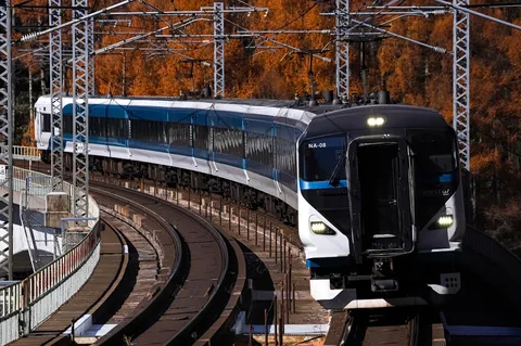 秋色に染まる山を駆け抜ける列車