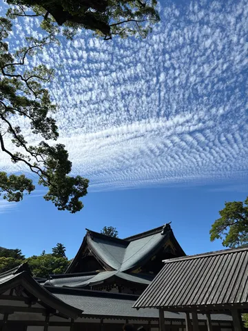 計算され尽くした雲の波模様