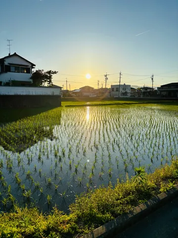 水面にきらめく田園の輝き