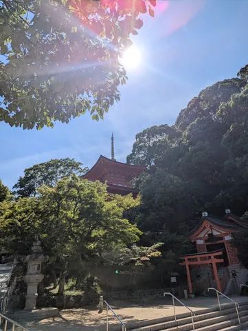 木漏れ日と古刹のコントラスト