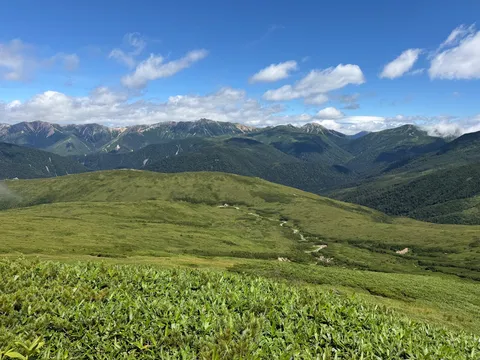 緑と青空の広がる山道
