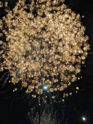 夜空に咲く黄金の華