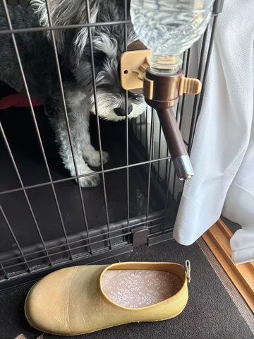 お水は逆からですよー
