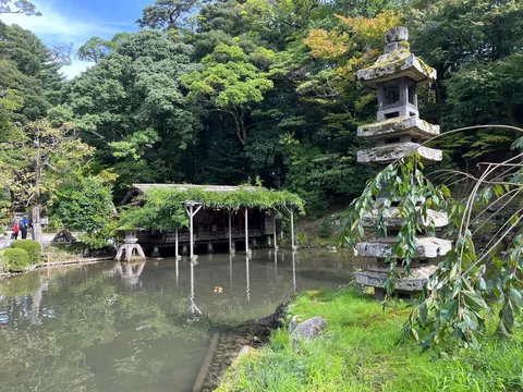 静寂の庭園、水面に映る風情