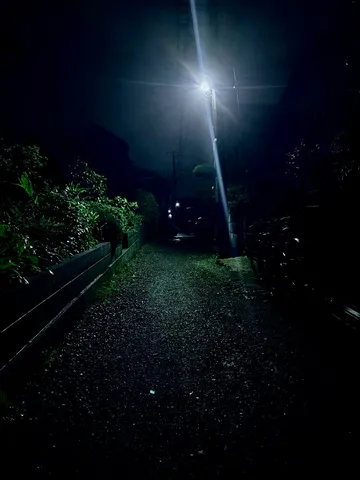 光と闇の静かな路地