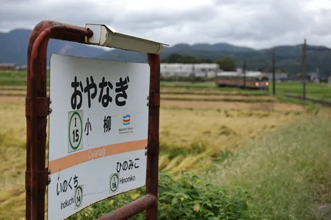 田園と列車の影に揺れる風