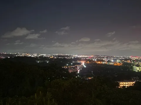 夜景と木々の静かな瞬間