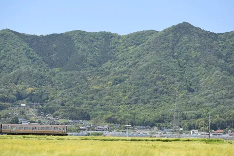 初夏を駆ける