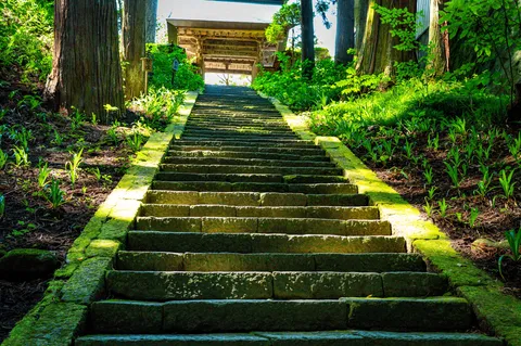 緑に包まれた石段の小径
