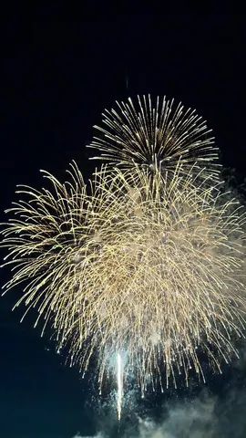 夜空に咲く、光の華
