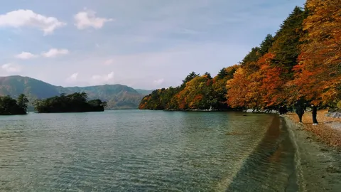 秋色に染まる湖畔の道
