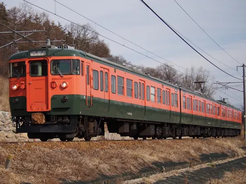 オレンジと緑、冬のローカル線