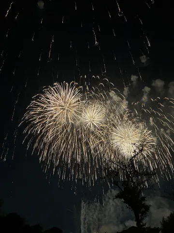 夜空を彩る光のカーテン