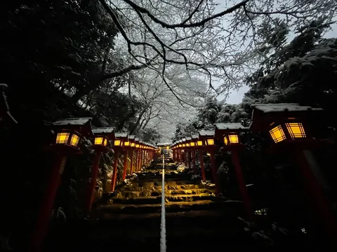 雪降る夜の幻想的な灯り道