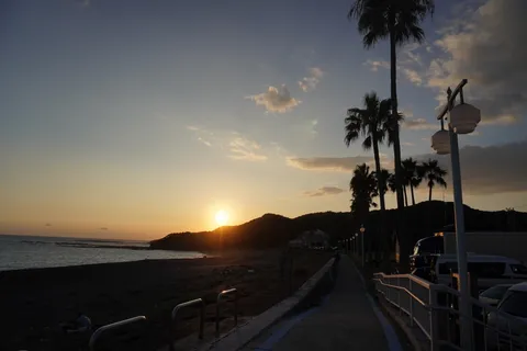 ヤシと海辺の夕暮れ