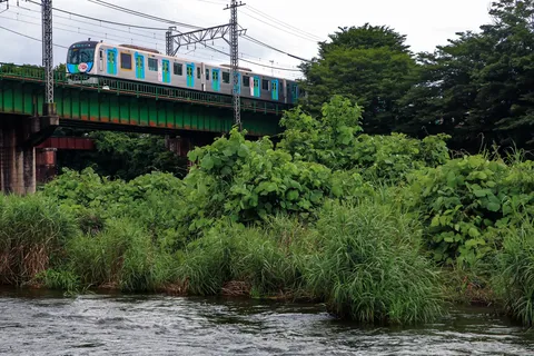 緑の橋を渡る未来への列車