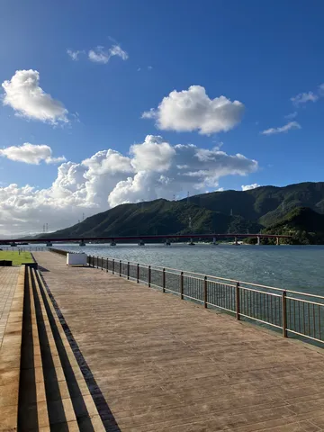 水辺の風と影の記録