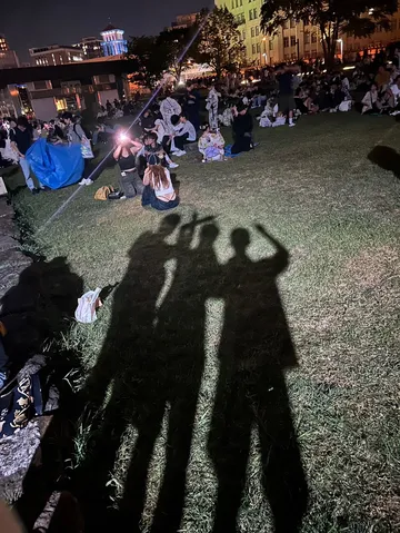 夏の夜空に浮かぶ、光と影の宴