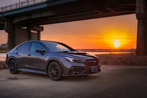 夕陽と走る孤高の狼