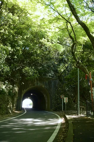 緑が誘うトンネルへの道