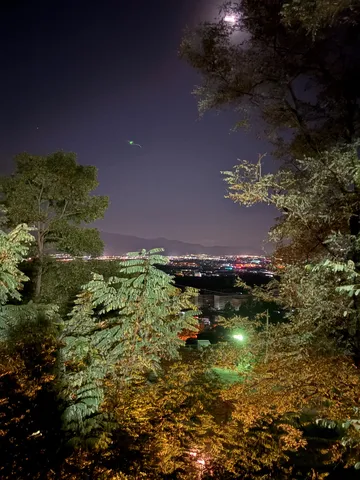 森越しに広がる夜景