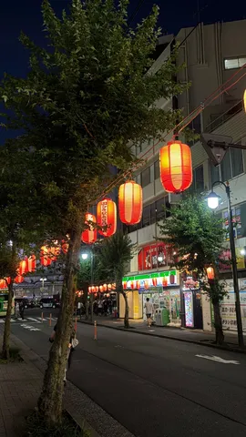 提灯が彩る夜の通り