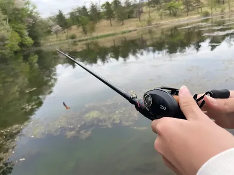 水辺の静寂、魚信を待つ時