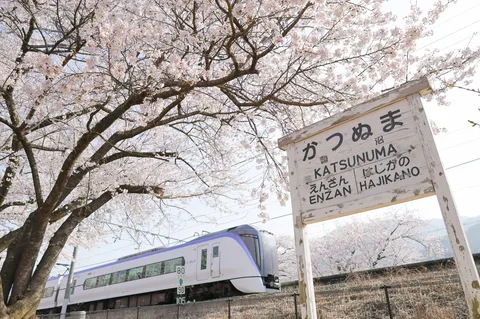 勝沼駅、桜舞う春の情景