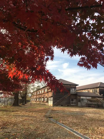秋色に染まる、懐かしき学び舎