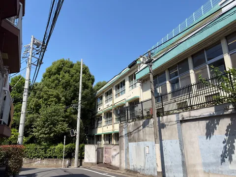 電柱と校舎、夏の青空