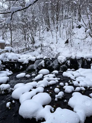 雪の流れに眠る石群