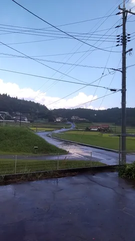 雨上がりの農道、風情ある田園風景