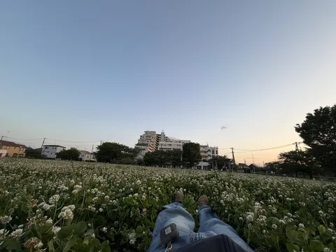 思わず寝転んだクローバー畑