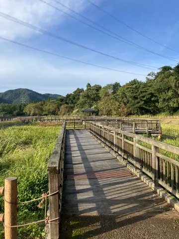 木道の風景が呼吸する