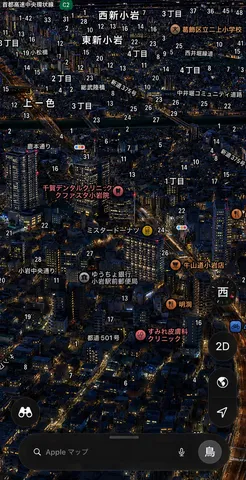 鳥視点
