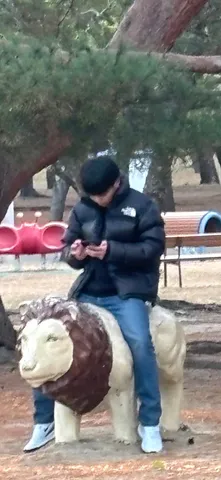 ライオンの背で会話する人